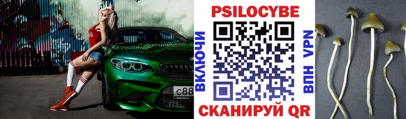 MEGA ТОР  Биробиджан  Галлюциногенные грибы Psilocybe 